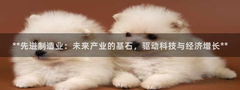彩神iv能赚钱吗