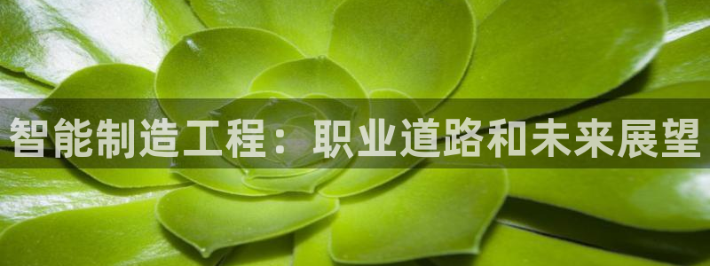 彩神赢的钱是哪里来的啊：智能制造工程：职业道路和未来展望