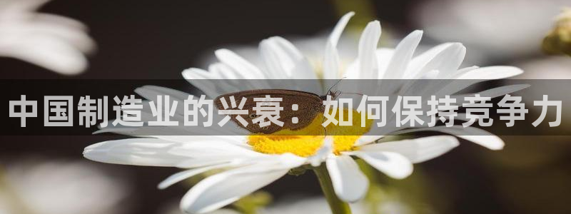 彩神大发三期计划网站：中国制造业的兴衰：如何保持竞争力