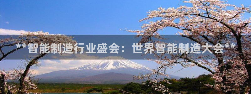 彩神8官网版：**智能制造行业盛会：世界智能制造大会**