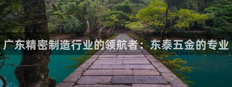 彩神viii是正规平台吗?：广东精密制造行业的领航者：东泰五金的专业