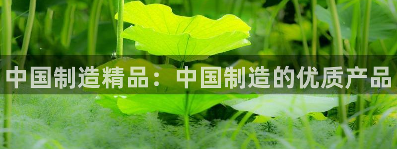 彩神iv争霸购彩大厅：中国制造精品：中国制造的优质产品