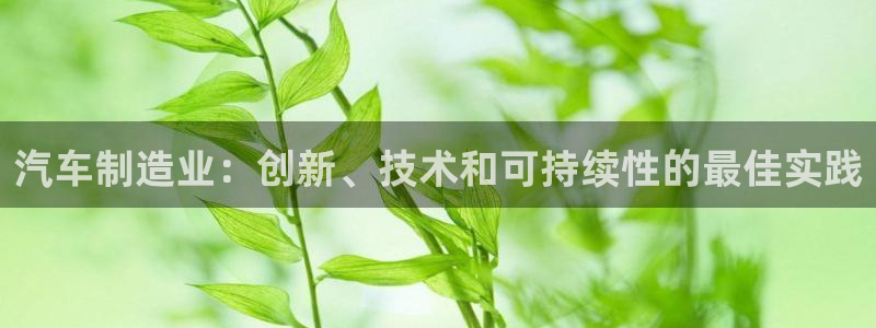 彩神新微聊：汽车制造业：创新、技术和可持续性的最佳实践