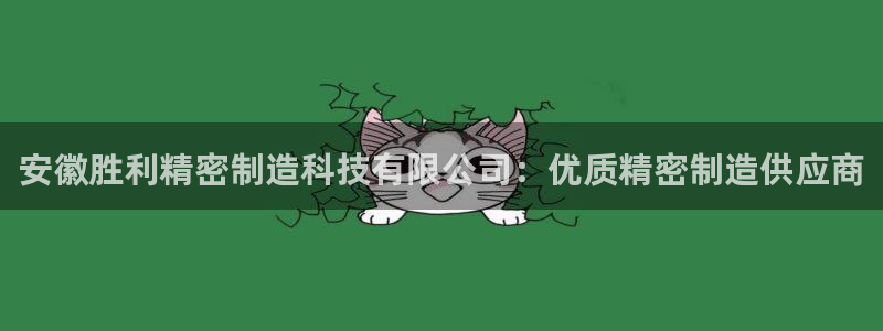 彩神新微聊：安徽胜利精密制造科技有限公司：优质精密制造供应商