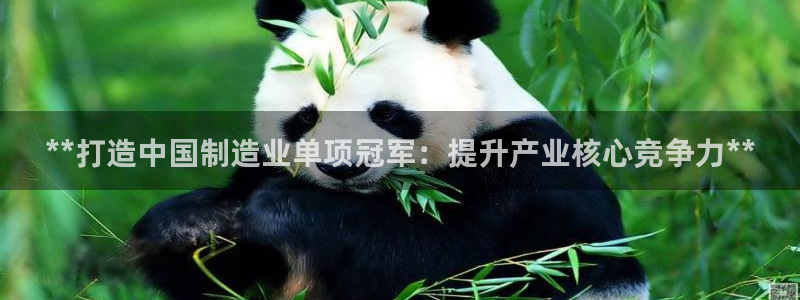 大发彩神最高邀请码：**打造中国制造业单项冠军：提升产业核心