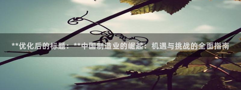 彩神v8有多久了?靠谱吗：**优化后的标题：**中国制造业的