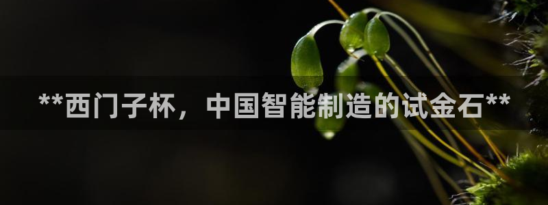 彩神v8是真的挣钱吗安全吗：**西门子杯，中国智能制造的试金