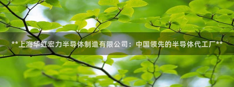 彩神通官方网：**上海华虹宏力半导体制造有限公司：中国领先的半导体代工厂**