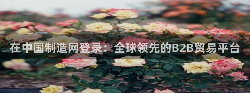 彩神平台之间是什么关系：在中国制造网登录：全球领先的B2B贸易平台