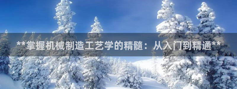彩神v8手机客户端：**掌握机械制造工艺学的精髓：从入门到精通**