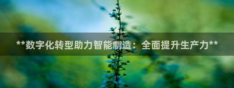 彩神vii手游下载：**数字化转型助力智能制造：全面提升生产力**