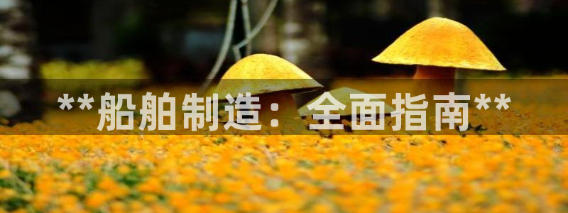 彩神Vii购彩-购彩大厅：**船舶制造：全面指南**