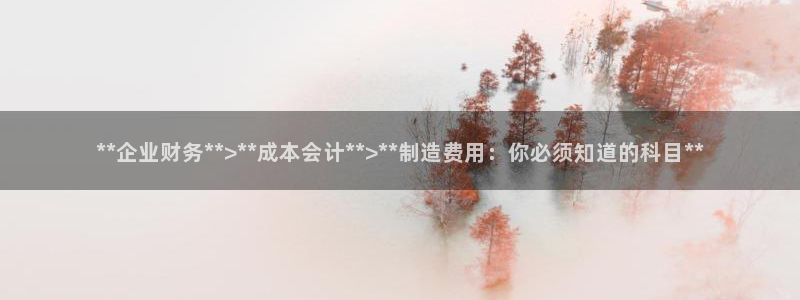 彩神官方登录：**企业财务**>**成本会计**>**制造费