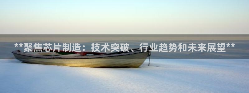 彩神Vii购彩-购彩大厅：**聚焦芯片制造：技术突破、行业趋势和未来展望**