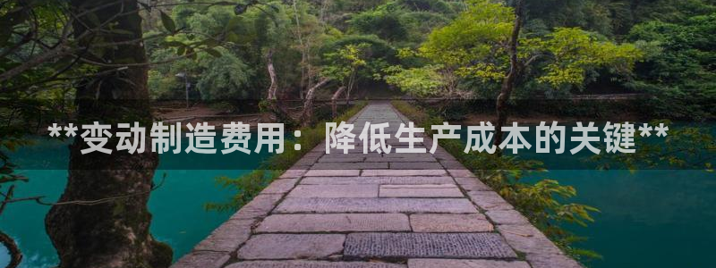 彩神是正规平台吗是真的吗：**变动制造费用：降低生产成本的关键**