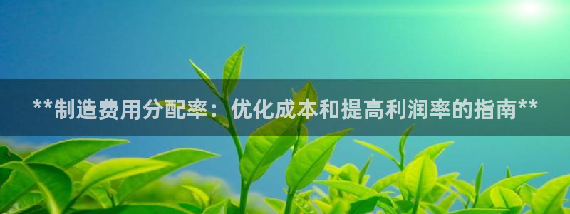彩神app赚钱是真是假：**制造费用分配率：优化成本和提高利