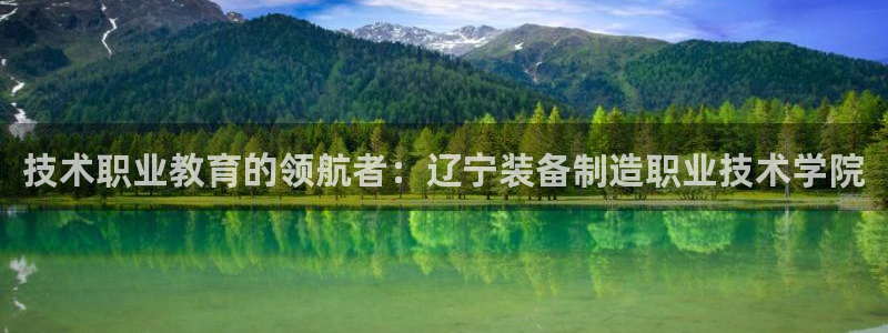 彩神赢的钱是哪里来的啊：技术职业教育的领航者：辽宁装备制造职业技术学院