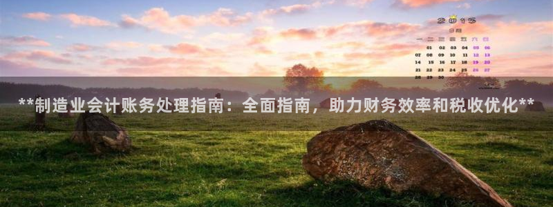 彩神趣购彩用户注册：**制造业会计账务处理指南：全面指南，助