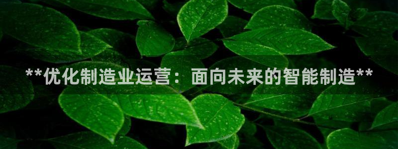 彩神vll购彩大厅：**优化制造业运营：面向未来的智能制造**