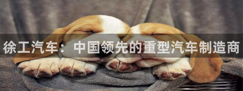 彩神数码科技有限公司：徐工汽车：中国领先的重型汽车制造商