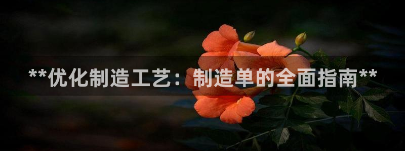 彩神vii手游下载：**优化制造工艺：制造单的全面指南**
