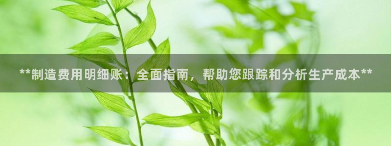 彩神大发官网：**制造费用明细账：全面指南，帮助您跟踪和分析生产成本**