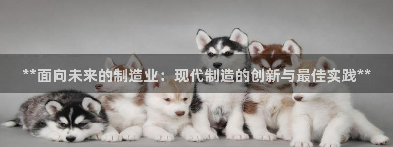 彩神iv是正规平台吗?：**面向未来的制造业：现代制造的创新