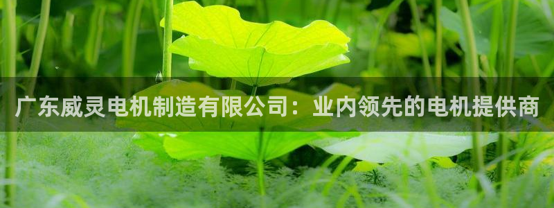 彩神vl官网：广东威灵电机制造有限公司：业内领先的电机提供商