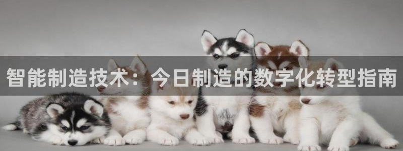 彩神app能挣到钱吗