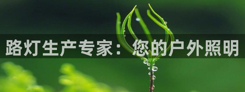 彩神v彩搜狗
