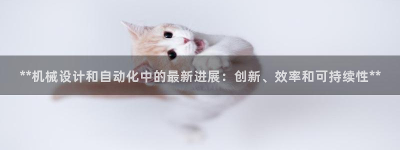 彩神V8有限公司