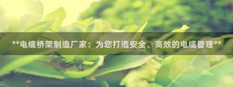 彩神v8app