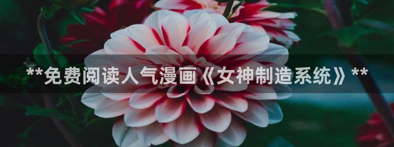 彩神争霸官方登录