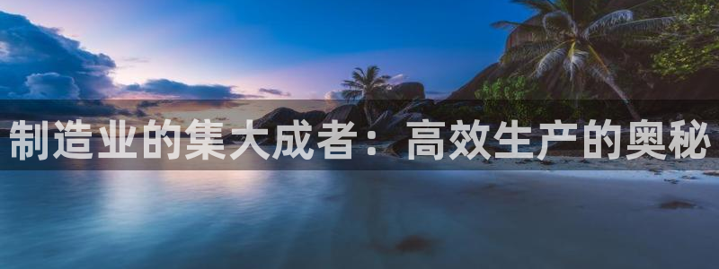 彩神v8平台正规吗可靠吗：制造业的集大成者：高效生产的奥秘