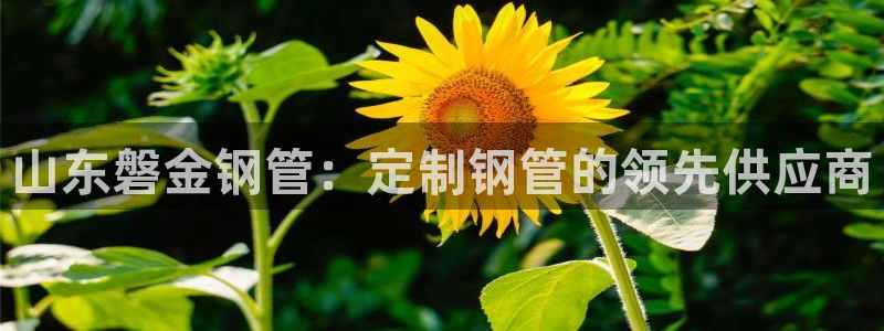 彩神v平台：山东磐金钢管：定制钢管的领先供应商