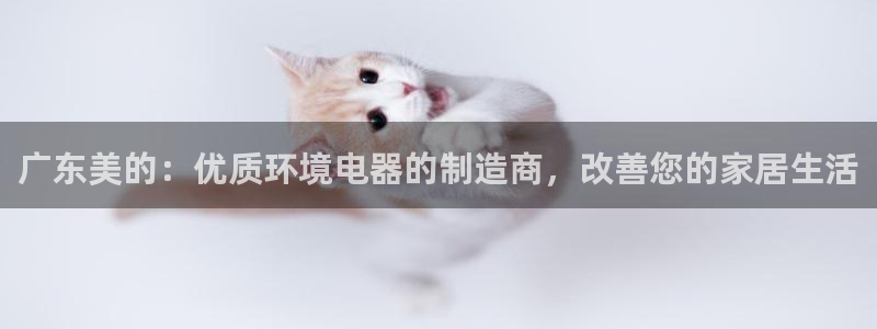 彩神v8app