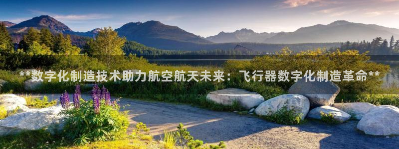 彩神8官网合法吗