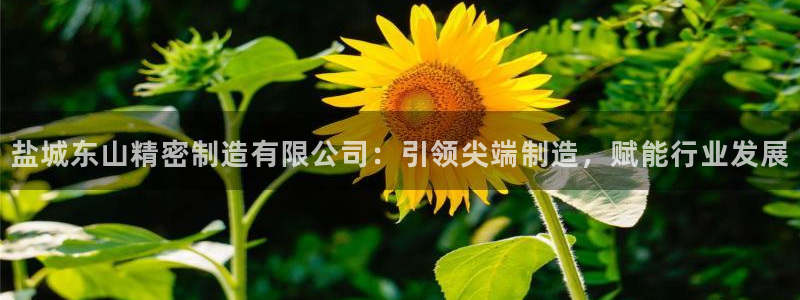 彩神vip官方网站