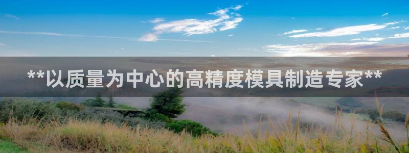 彩神大发是不是人为操作：**以质量为中心的高精度模具制造专家