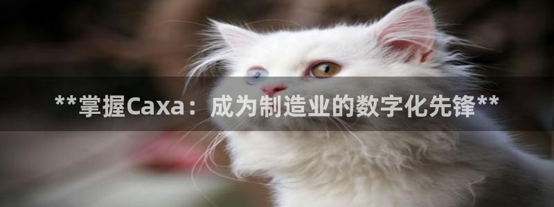 彩神vlll游戏特色