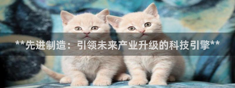 彩神大发黑平台：**先进制造：引领未来产业升级的科技引擎**
