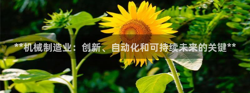 彩神vl购彩大厅
