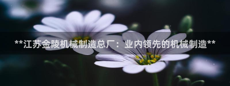 彩神vii手游下载