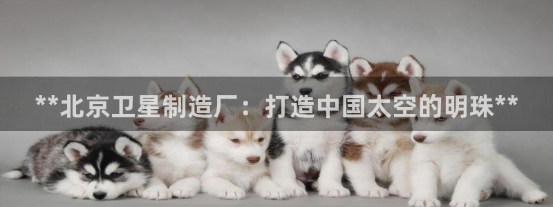 彩神官方网站登录是多少