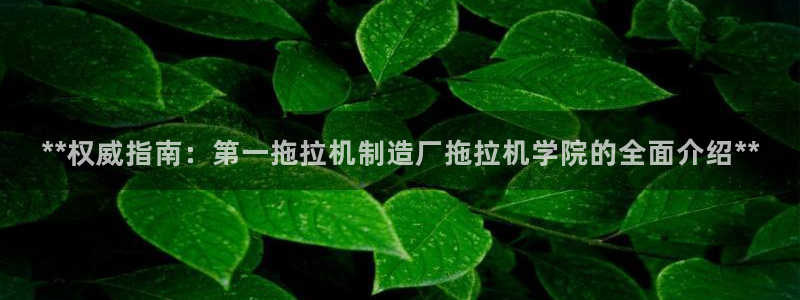 彩神大发cp