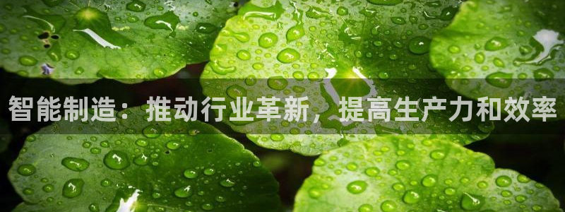 彩神数码科技有限公司