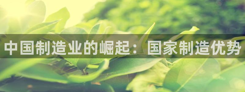 彩神广告有限公司