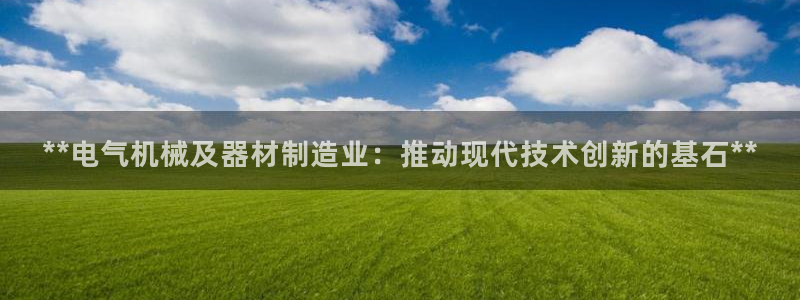 下载彩神v8：**电气机械及器材制造业：推动现代技术创新的基石**