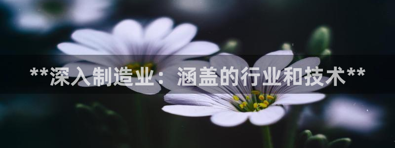 彩神8官网下