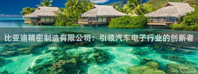 彩神vlll官方网